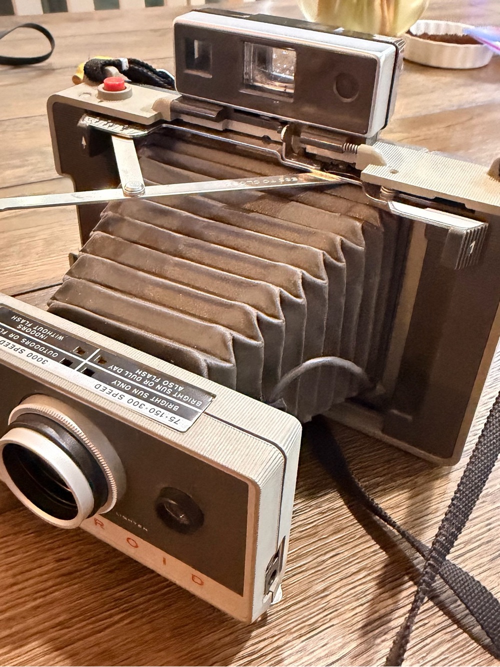 Polaroid Folding Bellows Camera in Brown and Silver